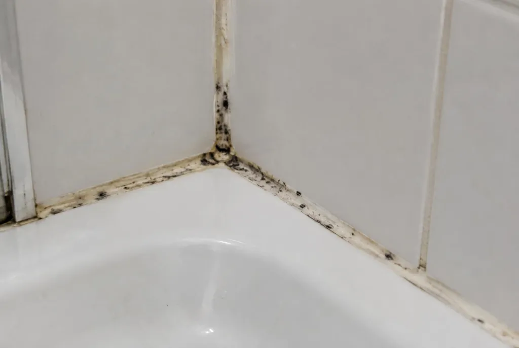 Kitbedrijf Loosdrecht – beschimmelde kitranden